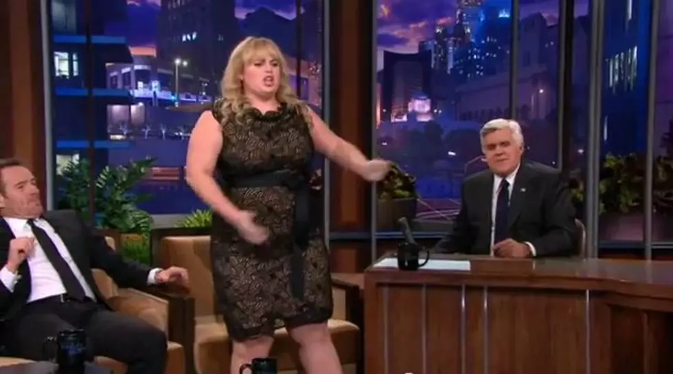 Rebel Wilson Sings on the Tonight Show [VIDEO]