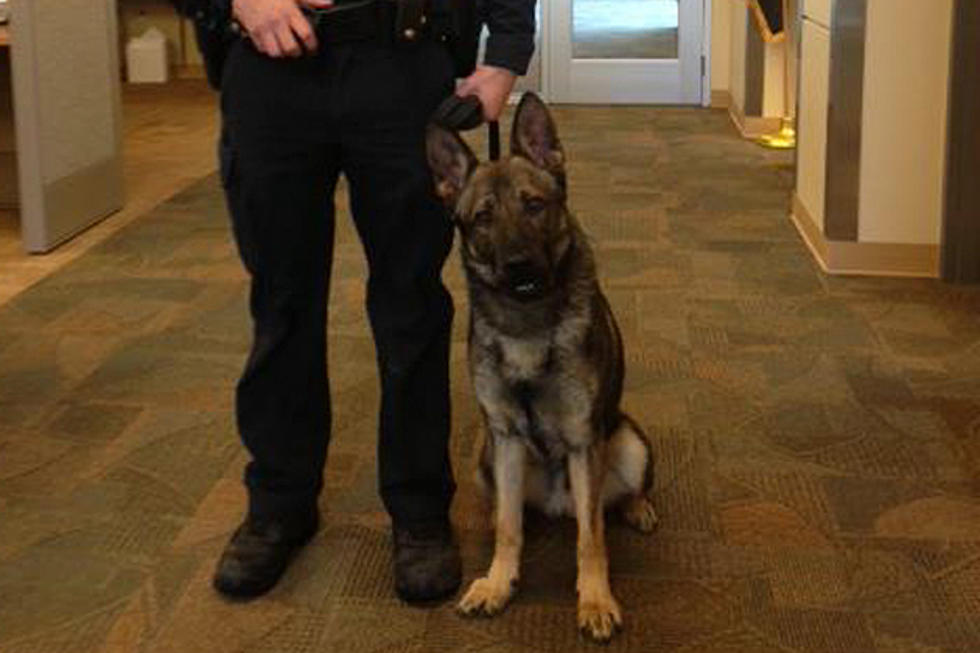 Duluth Police Introduce New K-9 on Facebook