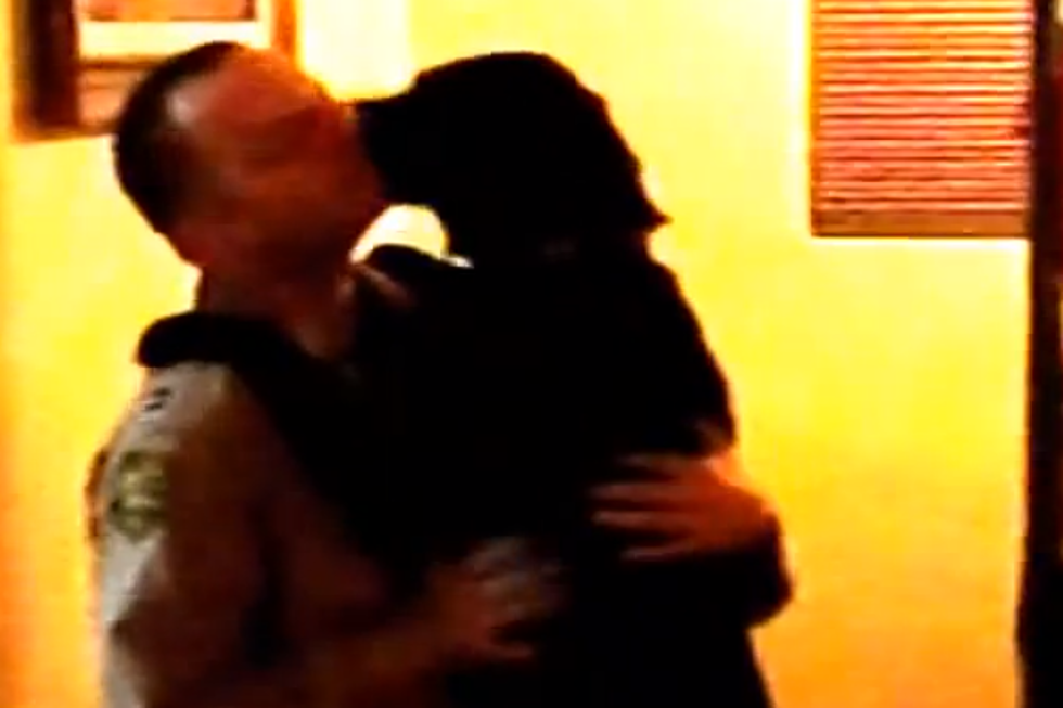 Watch Emotional Reunion of Dog with Soldier Returning Home After Six Months Away [VIDEO]