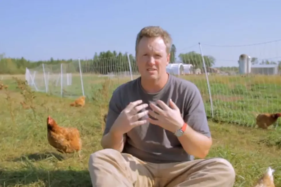 Wrenshall, Minnesota Egg Farm &#8216;Locally Laid&#8217; Advances to the Final Four in a Contest to Win a Super Bowl TV Commercial [VIDEO]