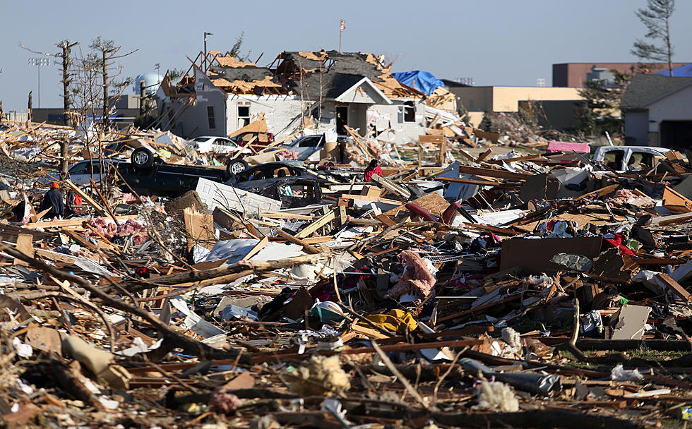 Illinois Tornado Survivor Finds His Missing Dog Buried Under Rubble [PHOTOS]