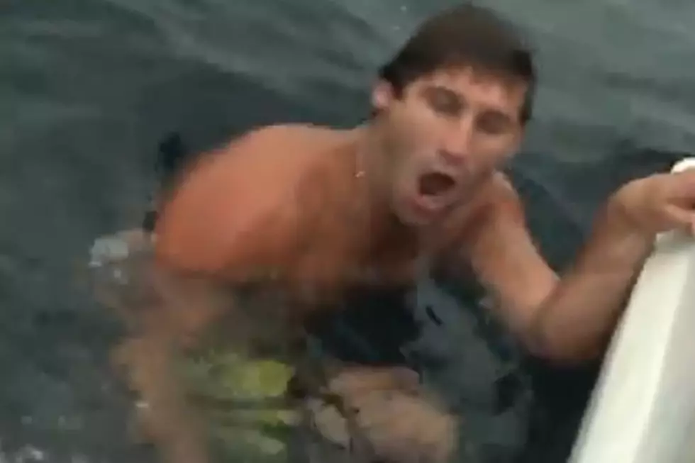 Shark Attacks Cage Right Next To Man In Water [VIDEO]