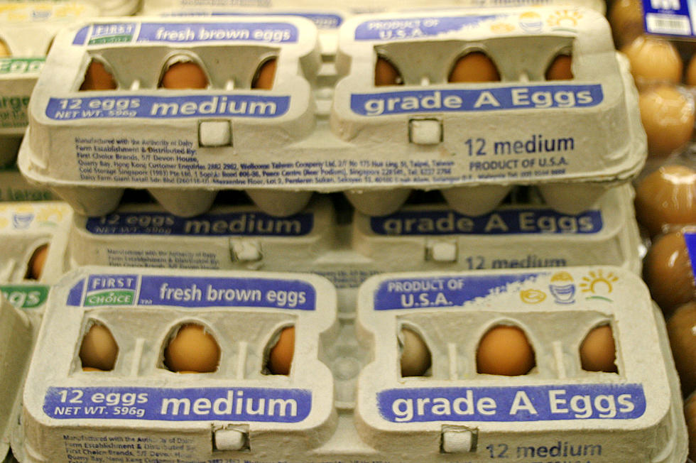 Eggs Are Uncrushable? Another Chris Tyler Experiment [VIDEO]