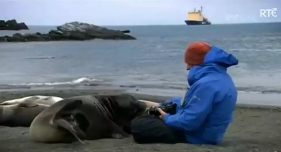 A Photographer Has the Time of His Life as a Baby Seal Becomes His Best Friend [VIDEO]
