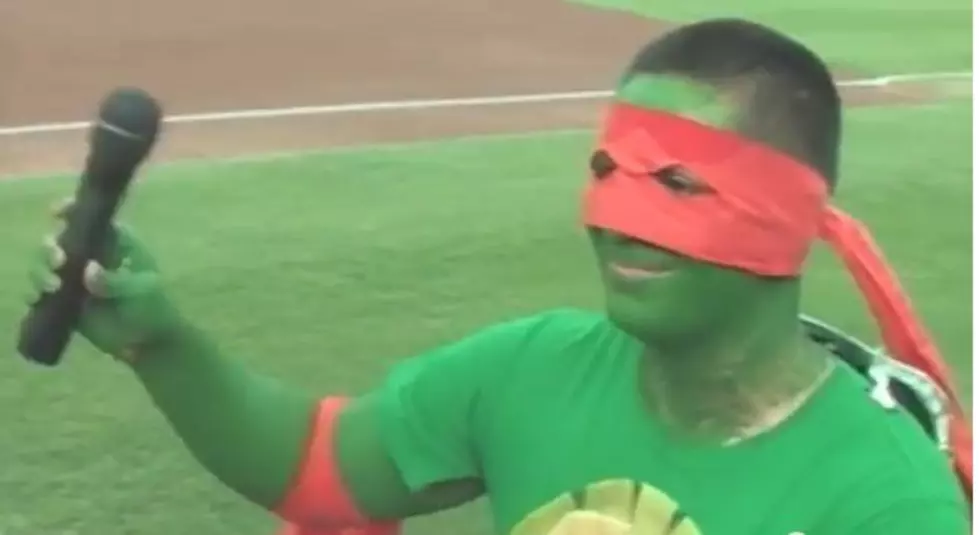 A Teenage Mutant Ninja Turtle Proposes to His Girlfriend at a Minor League Baseball Game [VIDEO]
