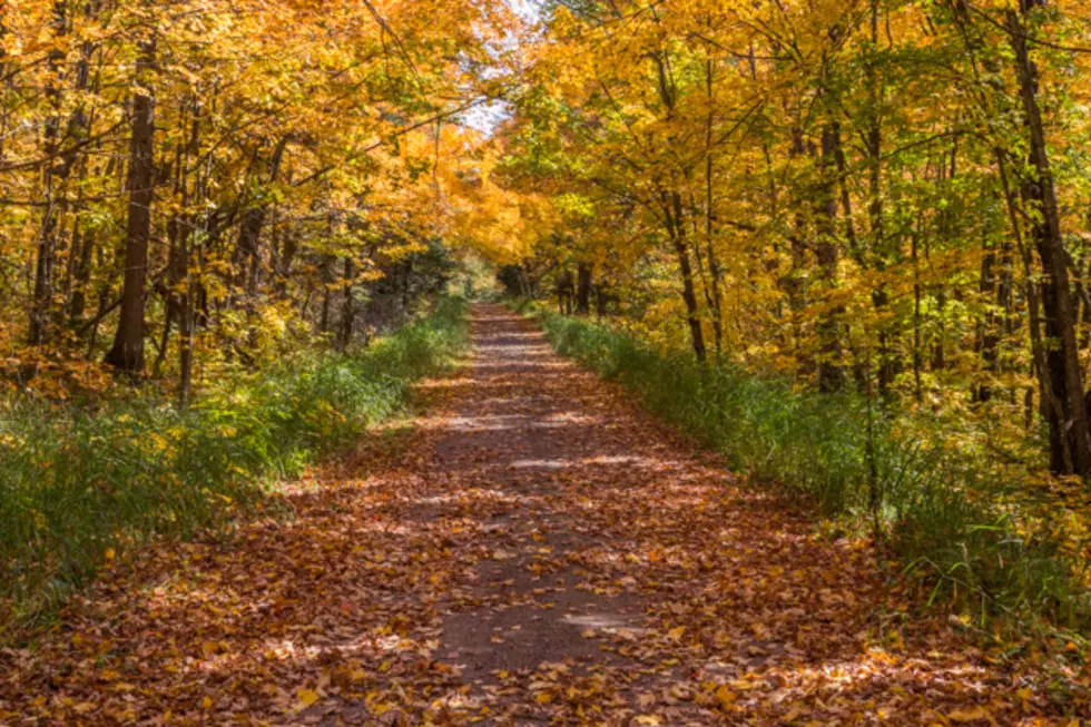 Take A Quick Virtual Trip North To Check Out The Fall Colors On The Gunflint Trail And North Shore [PHOTOS + VIDEO]