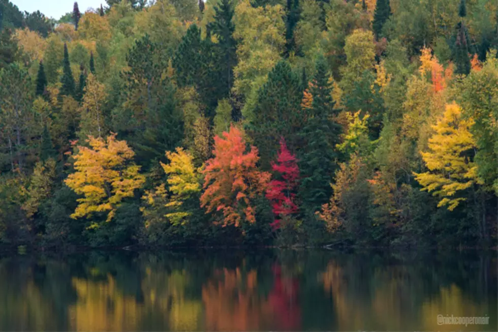 Fall Colors Are Out! Where Can You See The Best Autumn Leaves Around the Twin Ports Region?