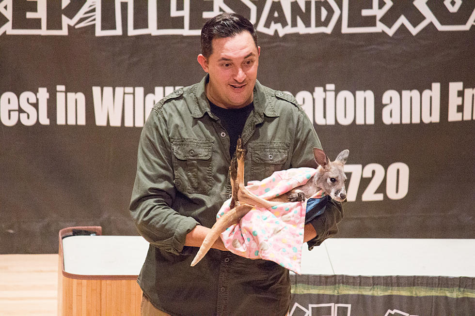 Jeff Musial &#8220;The Animal Guy&#8221; Brings Out The Animals in Duluth [PHOTOS]