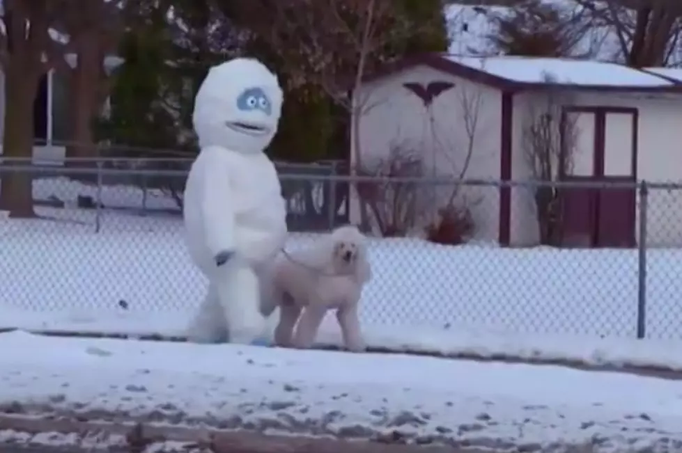 Bumble The Abominable Snow Monster From &#8216;Rudolph, the Red-Nosed Reindeer&#8217; Walking Dog in Wisconsin [VIDEO]