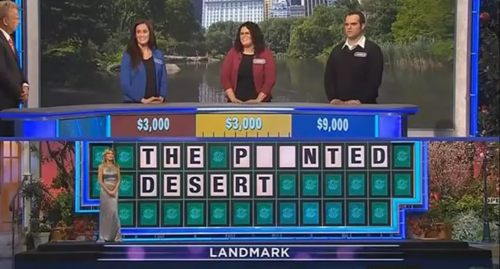 Copycat on the Wheel of Fortune Shocks Pat, and the Audience Alike With His Dumb Answer [VIDEO]