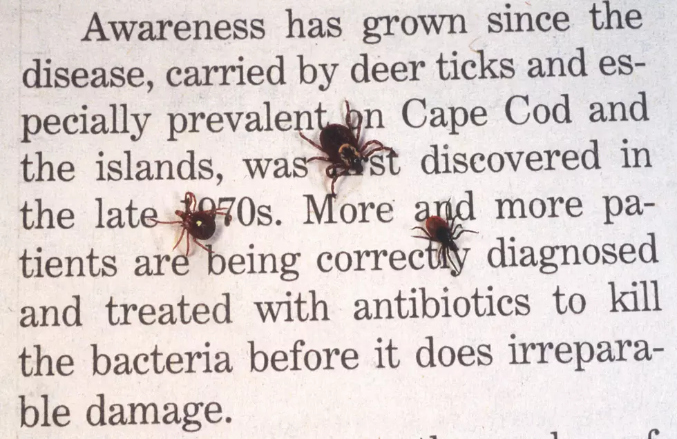 Time to be Prepared – Tick Season is Peaking