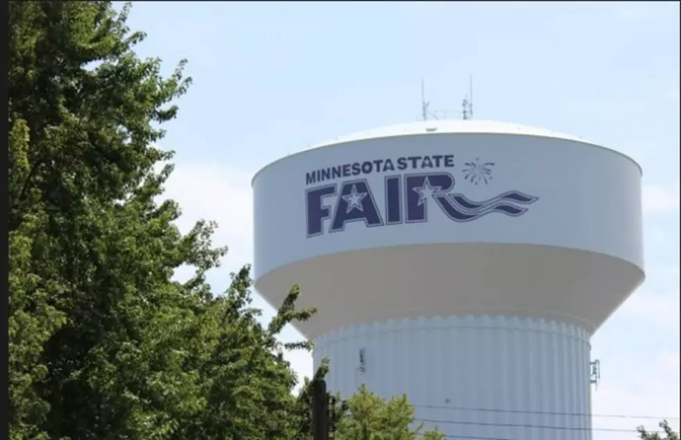 40 New Foods Announced For Minnesota State Fair 2015