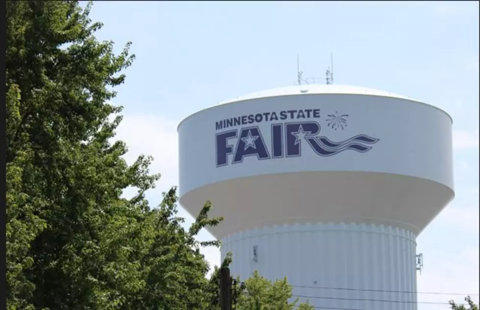 WATCH: Flash Flooding Shuts Down Minnesota State Fair Saturday