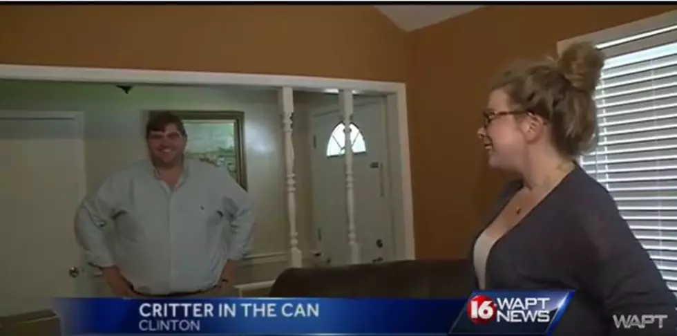 Couple Returns Home From Honeymoon to Find Something in the Toilet [VIDEO]