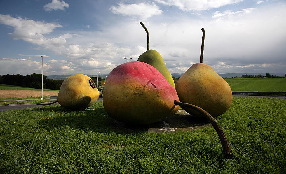 How Well Do You Know Types of Fruit, Better Yet Pears?