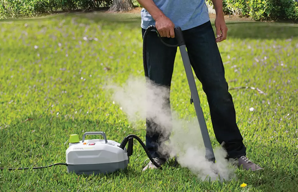 Did You Know That Steam Will Kill Weeds in Your Yard?