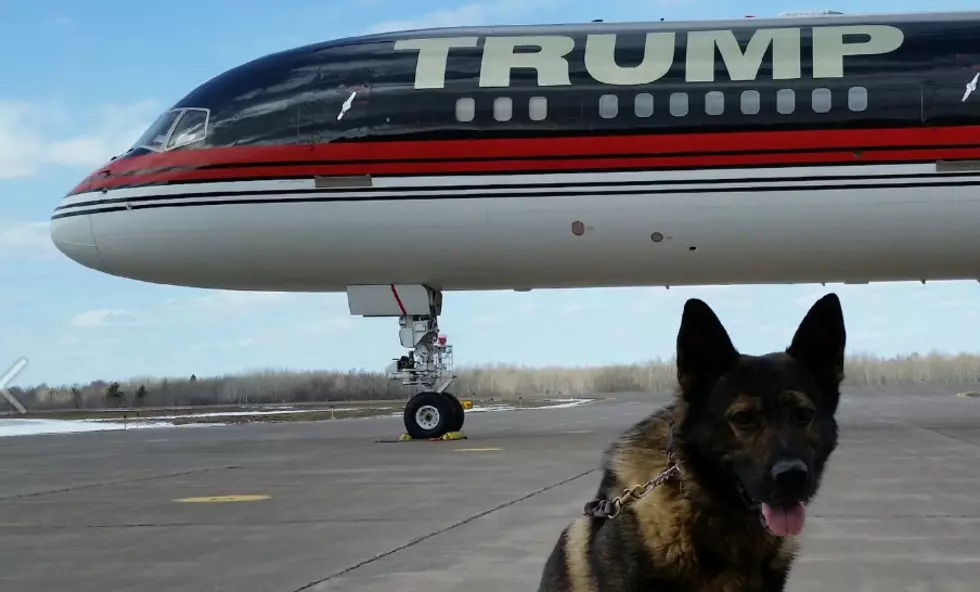Duluth K9 Officer Poses for Photo With Trump Plane