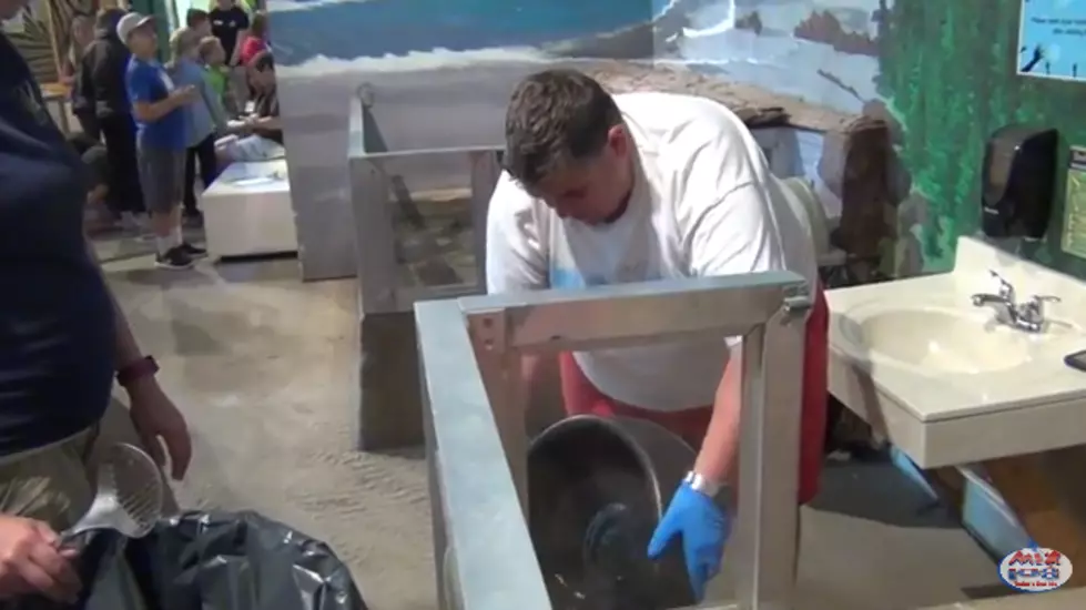 Jeanne Ryan is  Zookeeper for a Day at Lake Superior Zoo [VIDEO]