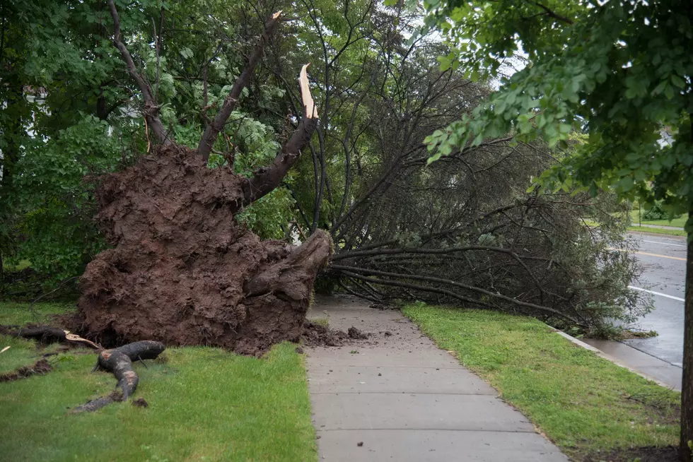 Helpful Tips to Help Avoid Storm Scammers Offering Roofing or Tree Removal Services