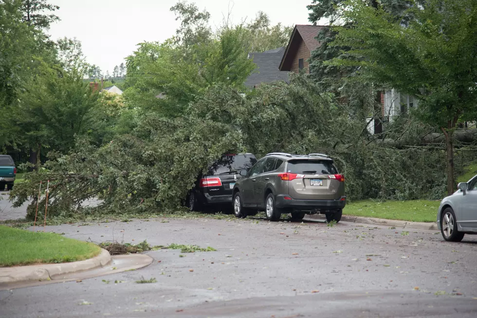 Duluth Officials Offer Storm Recovery Update Resource Guide With Early Storm Debris Removal Options
