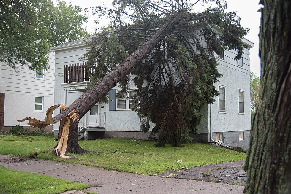 Deadline For Duluth’s Storm Debris Pickup Is This Saturday, August 27