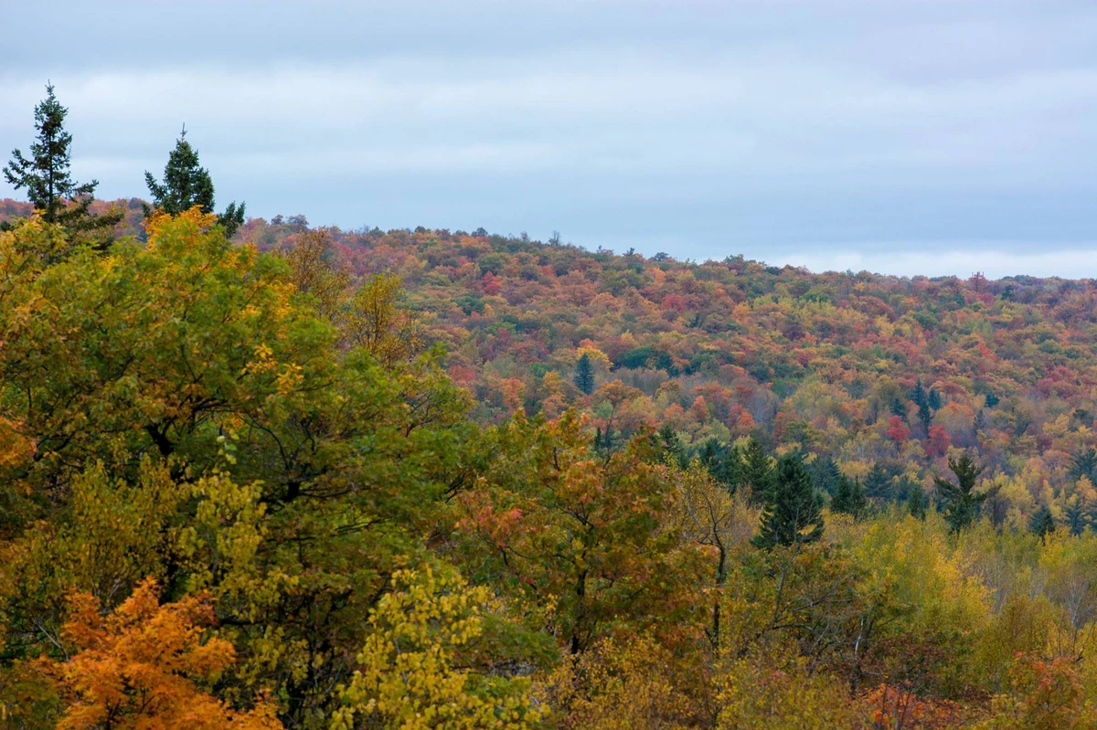 When Will Fall Colors Peak in Duluth, on the North Shore This Year?