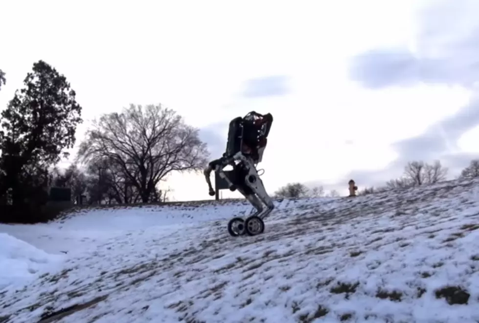 The Latest Robot From Boston Dynamics is Fueling My Nightmares