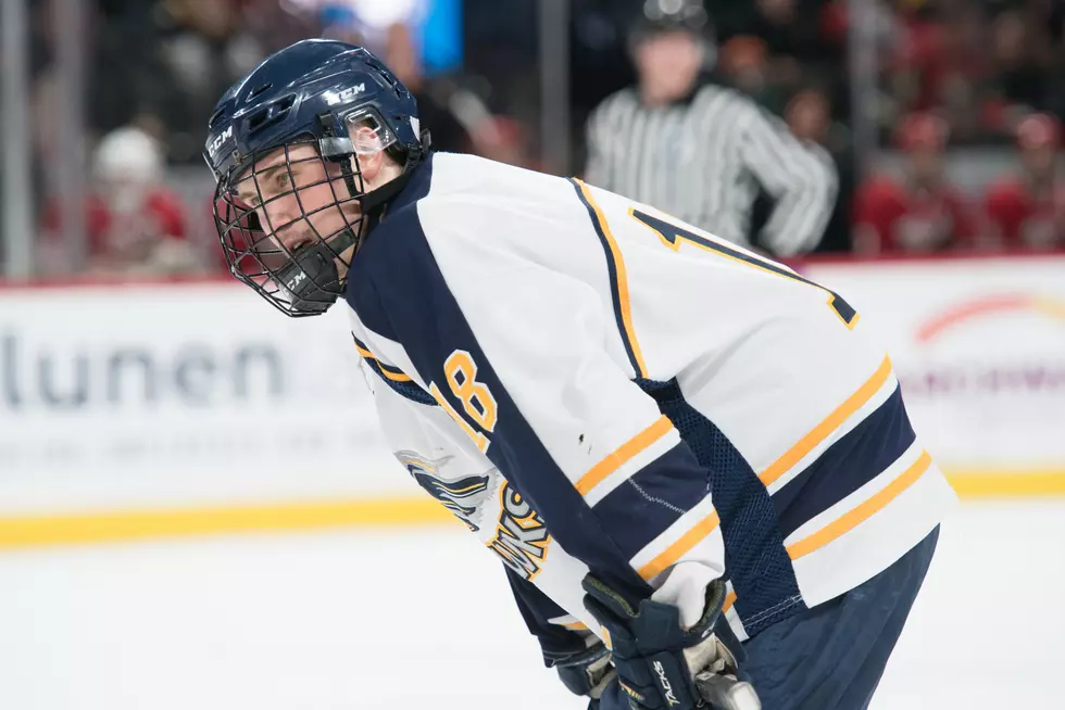Two Hermantown Players In Top 10 Tournament All-Hair Hockey Team