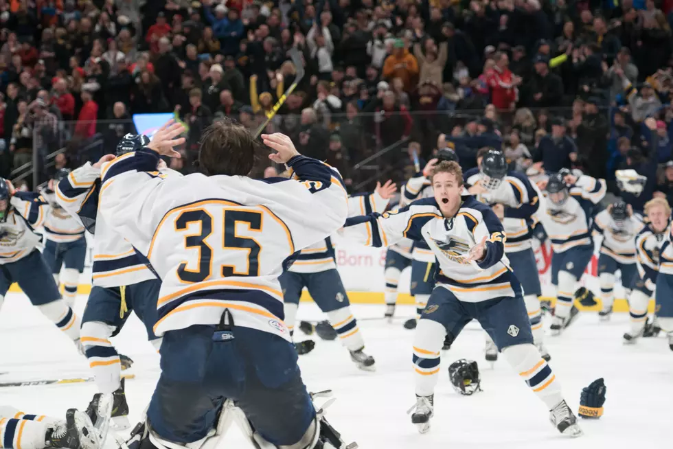 Hermantown Hawks Defend Class A State Hockey Title in 4-3 Double OT Thriller [PHOTOS]