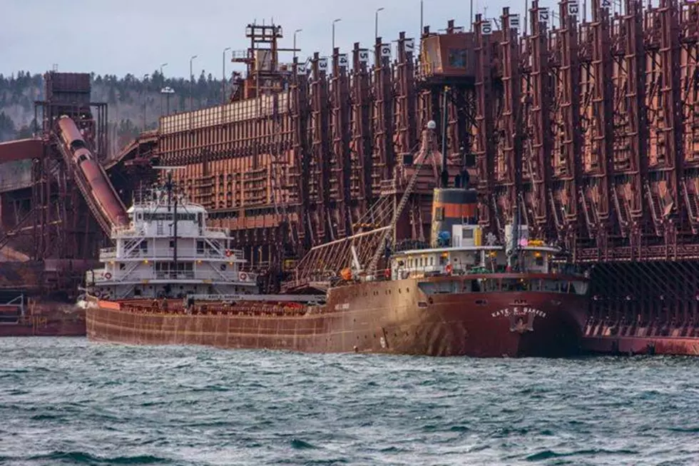 First “Saltie” of the Season Arrived in the Twin Ports  [VIDEO]