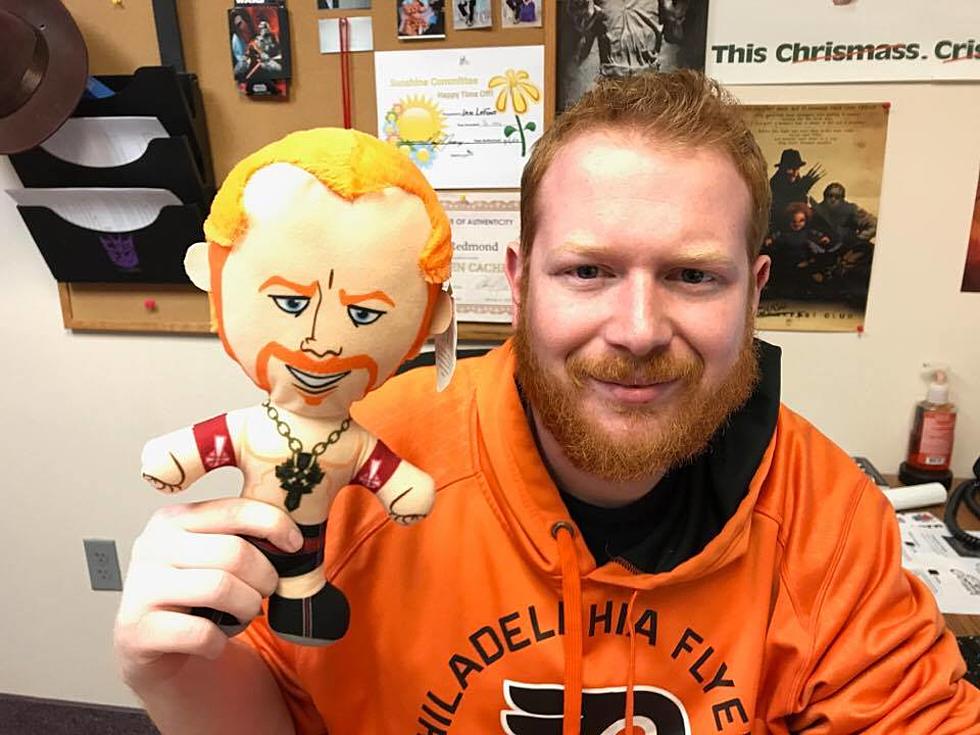 Do I Really Look Like This Sheamus Doll?