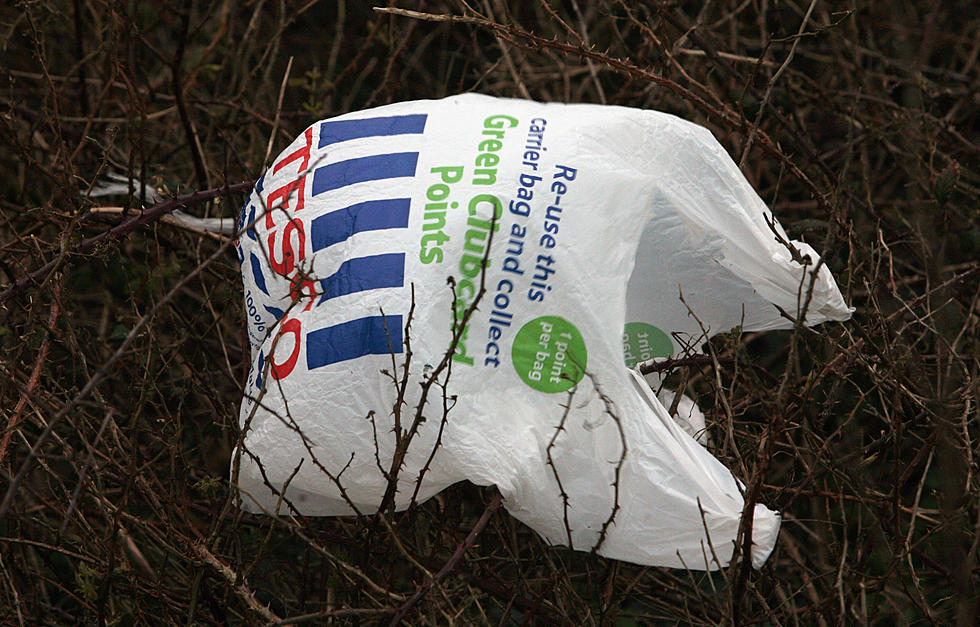 Is Duluth the Next City to Charge a Fee or Ban Plastic Bags All Together?