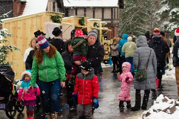 Enjoy Outdoor Shopping at Glensheen With The Duluth Winter Village