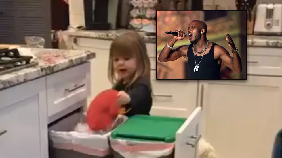 Watch Minnesota Toddler Rap DMX While Cleaning Up