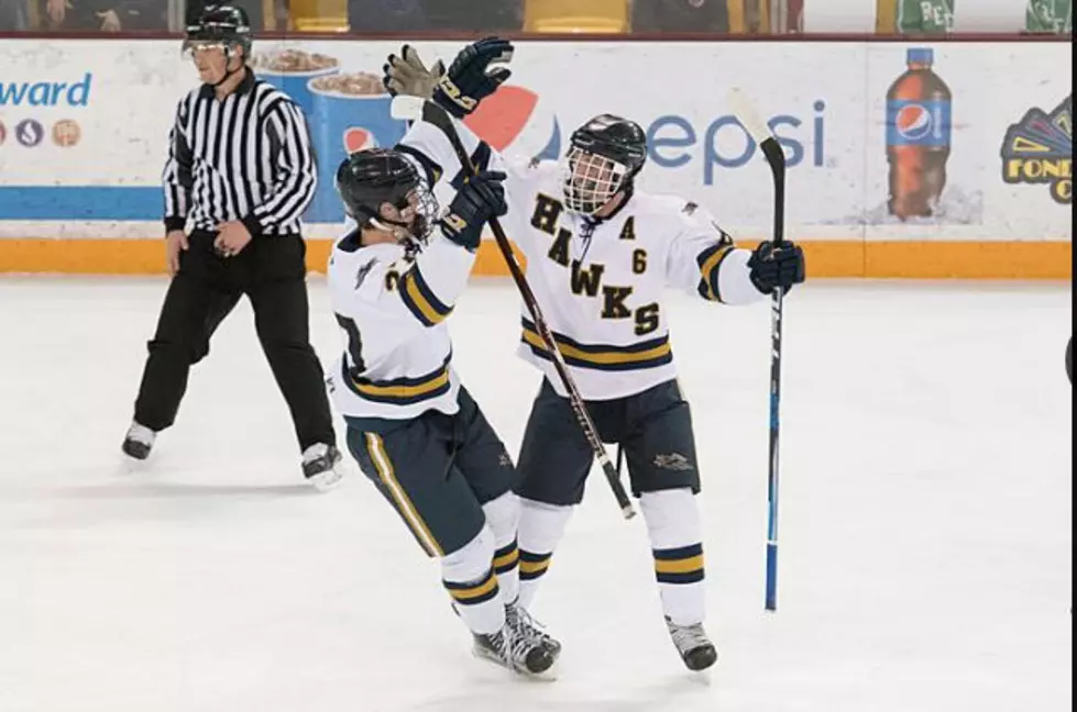 Two Hermantown Hockey Players Center of Television Segment From Six Years Ago to Today [VIDEO]