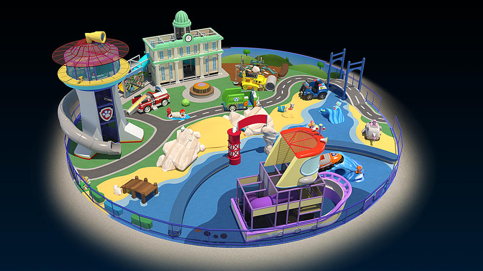 PAW Patrol Attraction Opening at Mall of America