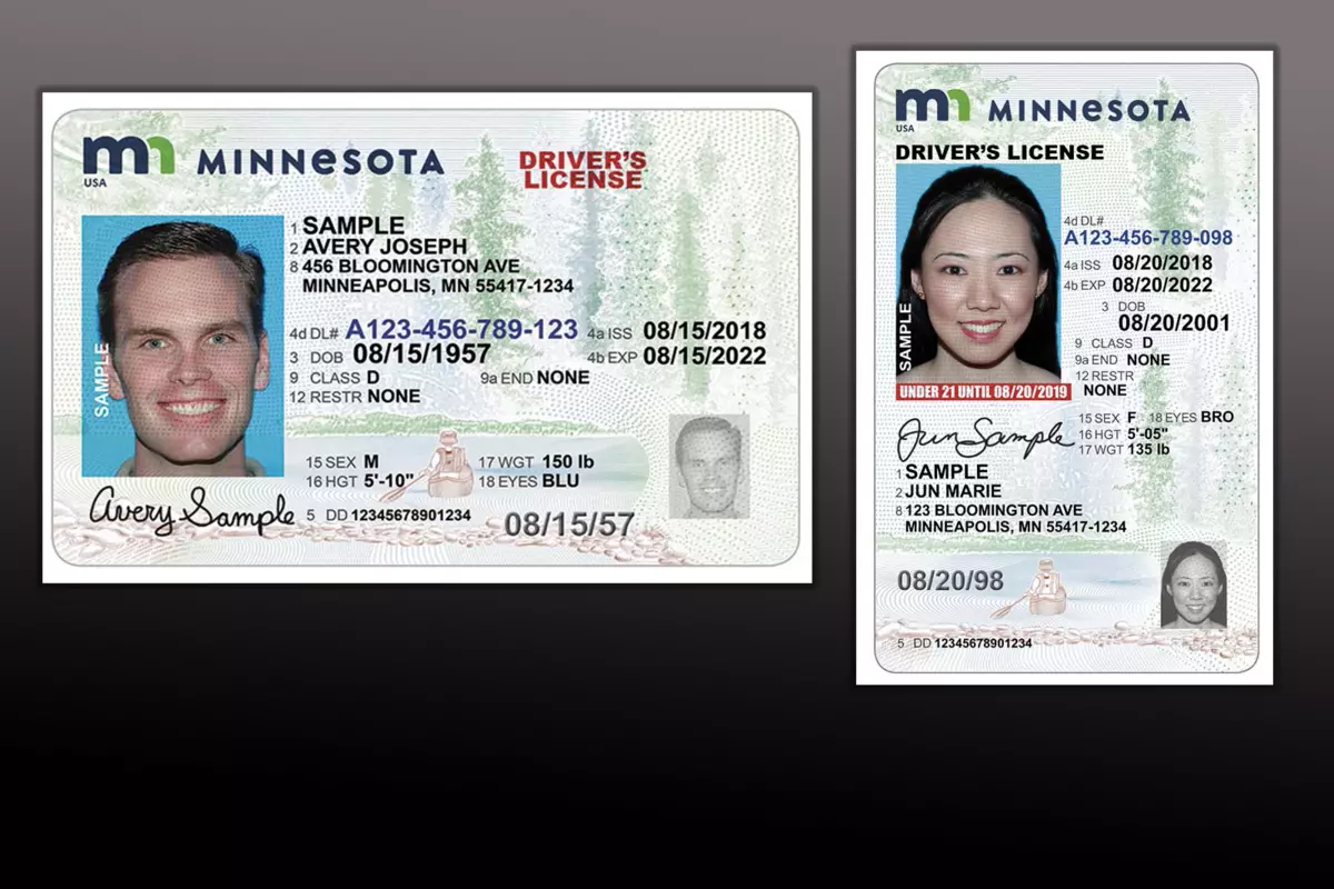 Driver s license. Minnesota Driver License. MN Driver License. Michigan Driver License. ID number Driver License.