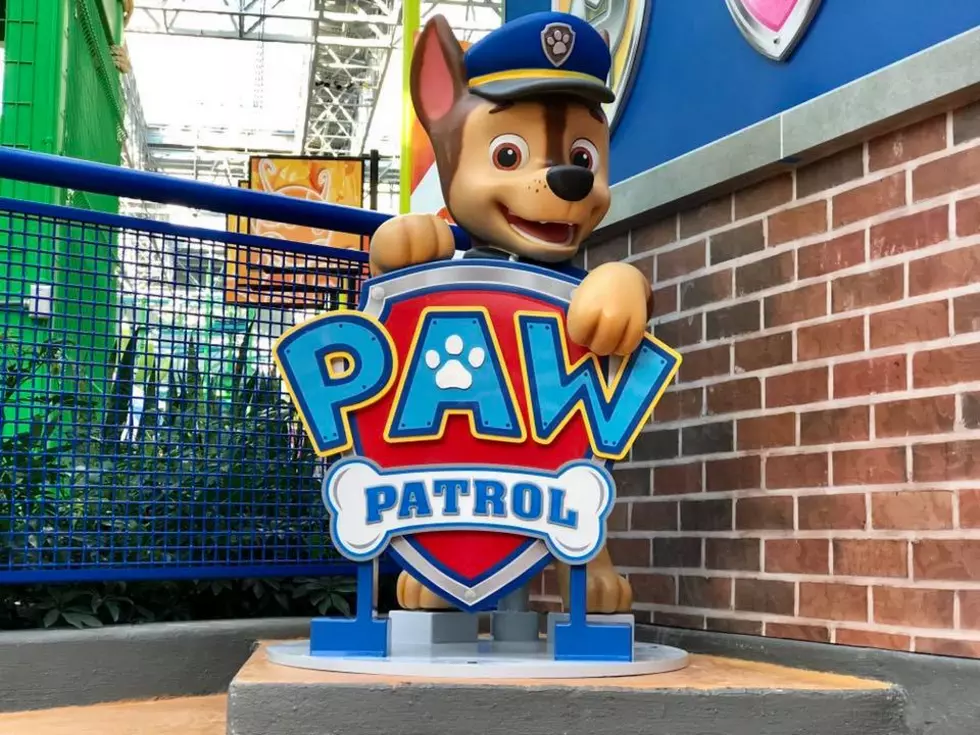 PAW Patrol Adventure Bay Opens at Mall of America This Week