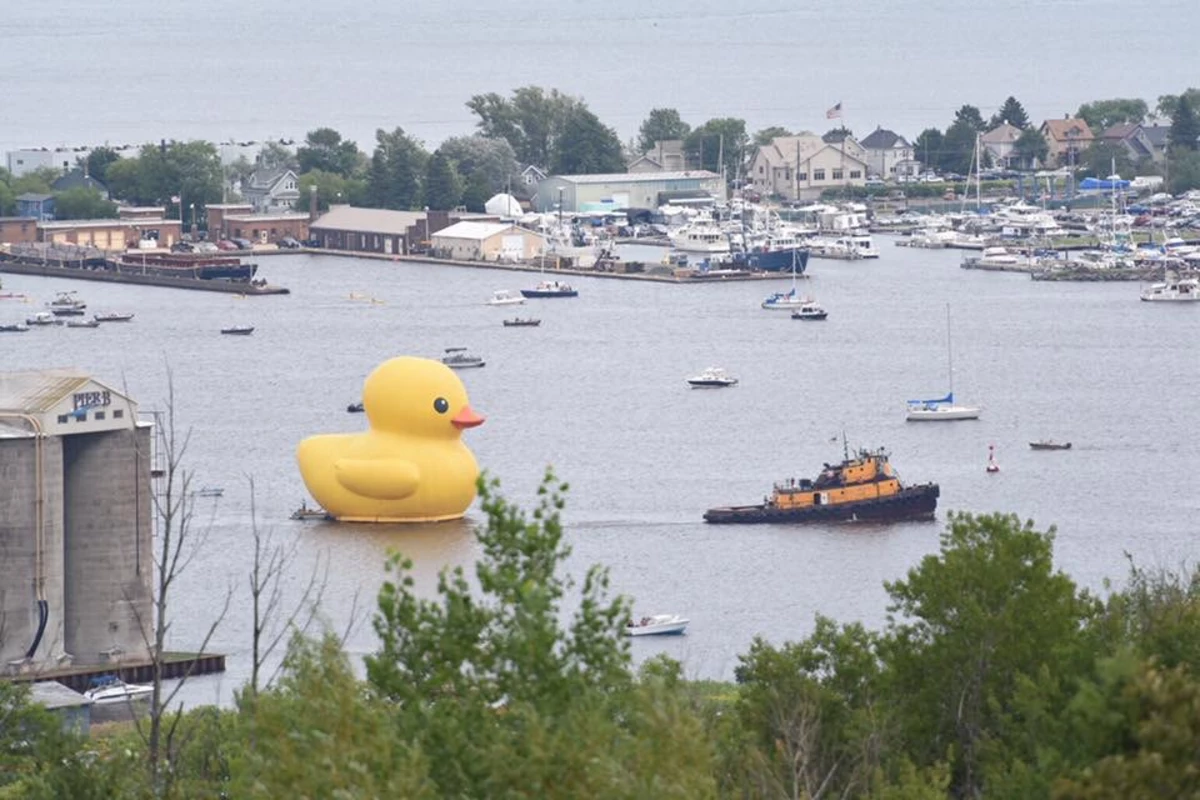 World s Largest Rubber Duck Is Returning To Duluth This Summer world-s-largest-rubber-duck-is-returning-to-duluth-this-summer
