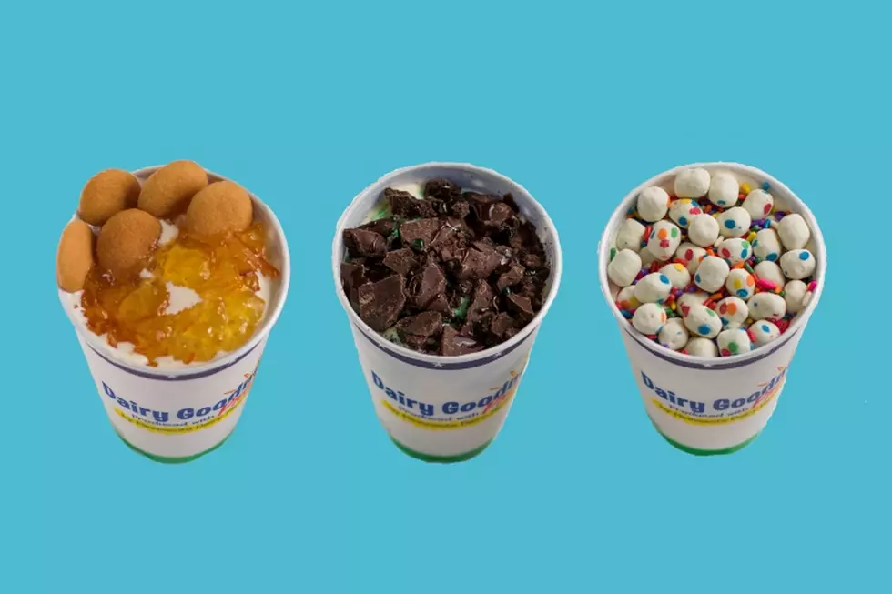 You Can Now Cast Your Vote For New 2019 State Fair Ice Cream Flavor