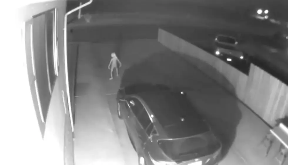 Prancing Figure Caught On Woman’s Security Camera, Has Millions of Views and People Wondering What Is It [VIDEO]