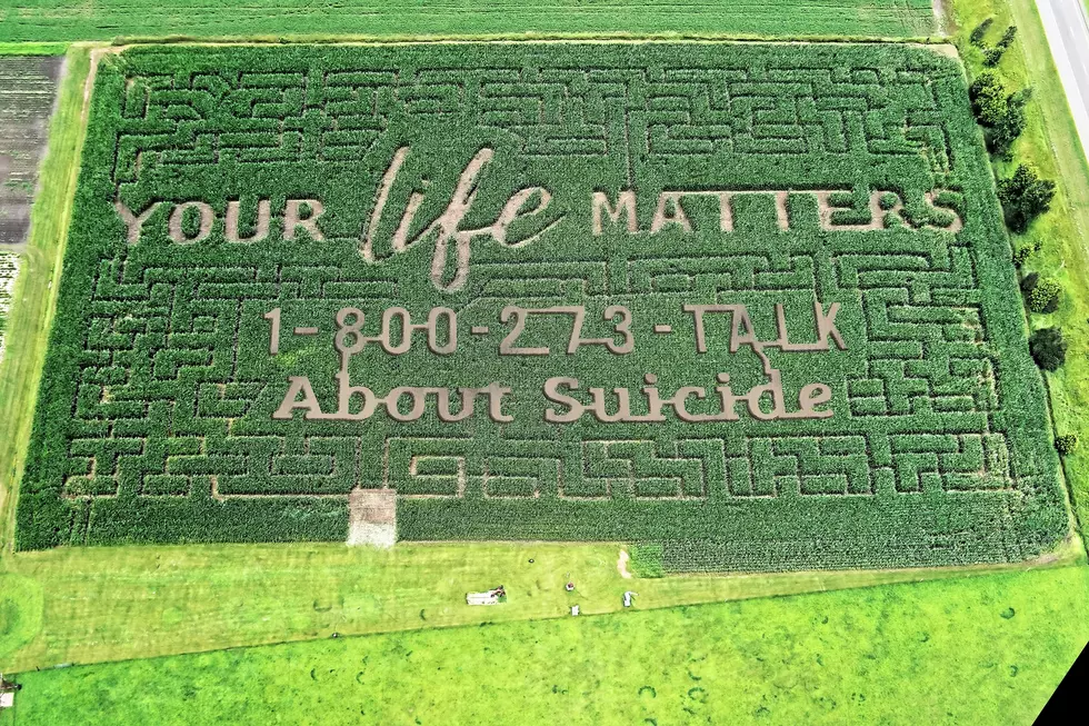 Wisconsin Farm Makes Corn Maze With Meaning