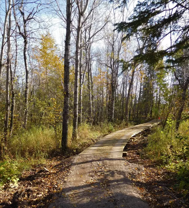 Wisconsin Point/Bear Creek Trail Now Open in Superior