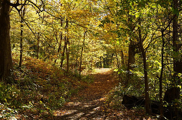 City of Duluth Closes All Natural Surface Trails