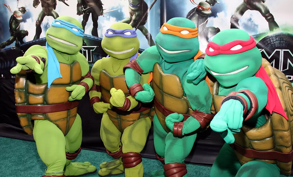 Turtle Power!  Zeitgeist Zinema 2 Hosting TMNT Screening