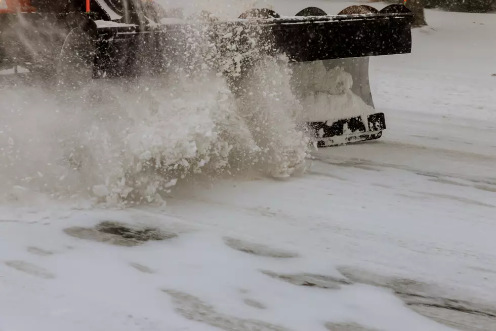 How Much Snow Did Southern Minnesota Get Yesterday, February 9th?