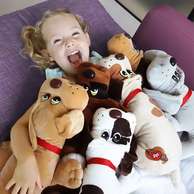 Pound Puppies Are Back, Just In Time For Valentines Day