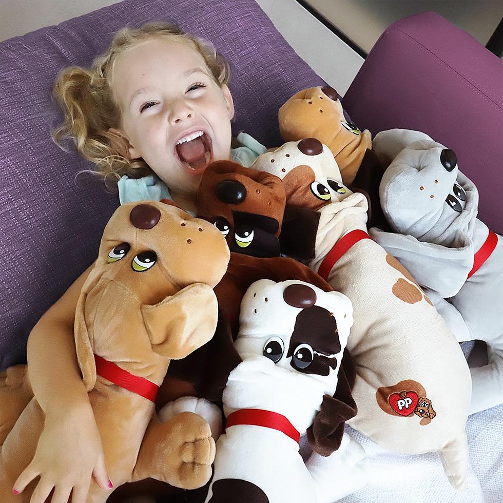 Pound Puppies Are Back, Just In Time For Valentines Day