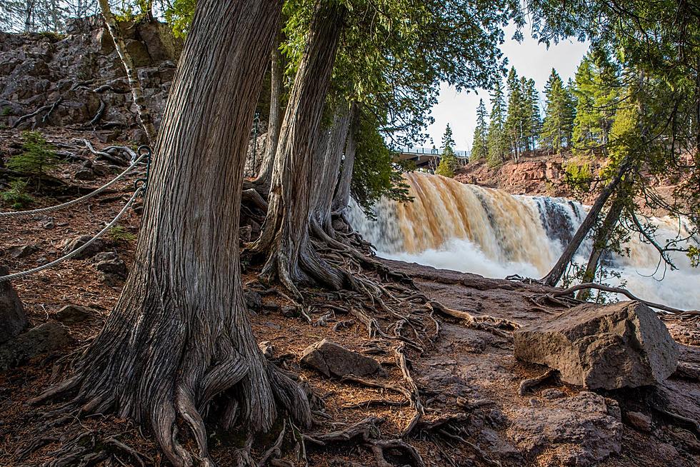 MN's State Parks Remain Open, Campgrounds Closed During COVID-19