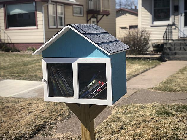 Little Free Libraries of Superior Looking for Host Homes
